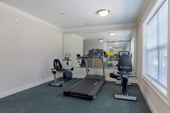A spacious home gym with a treadmill, exercise bike, and mirror.
